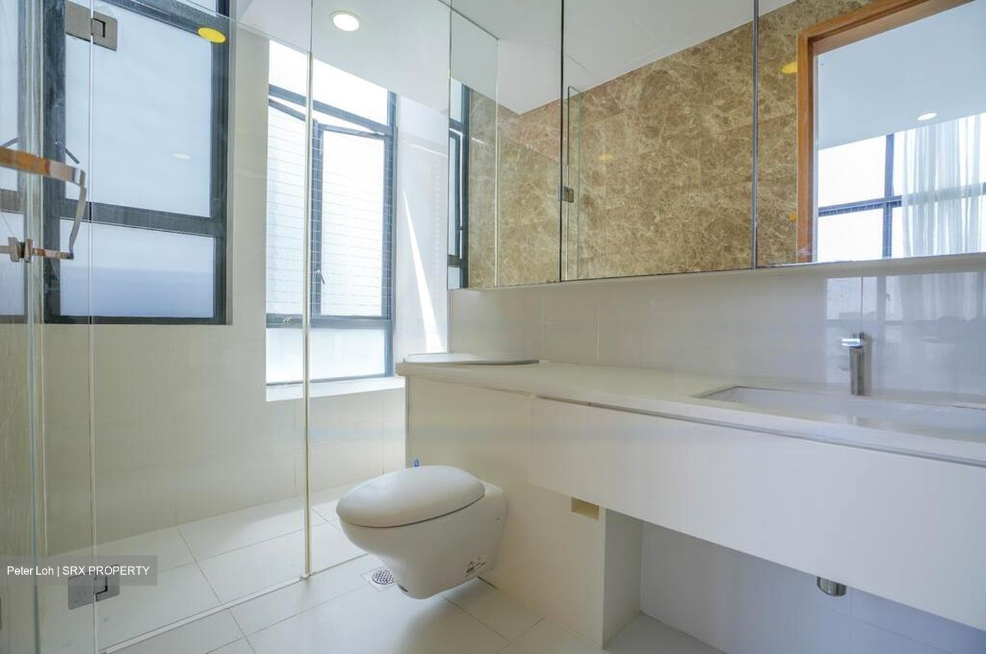 D'Leedon (D10), Condominium #471718261